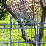 Is a Wrought Iron Fence More Expensive Than Wood?