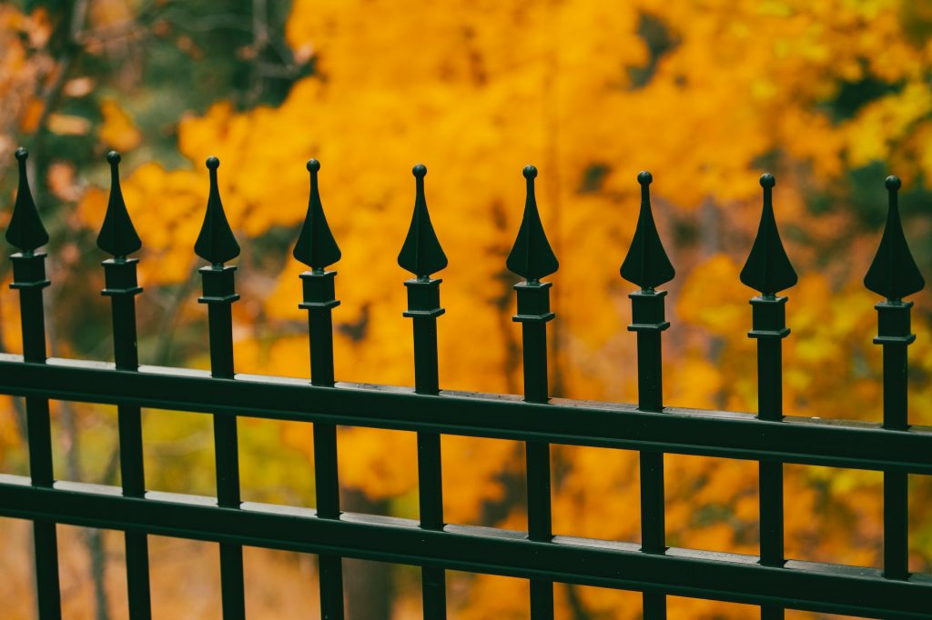 Small, Wrought Iron Fences and Gates for Your Yard